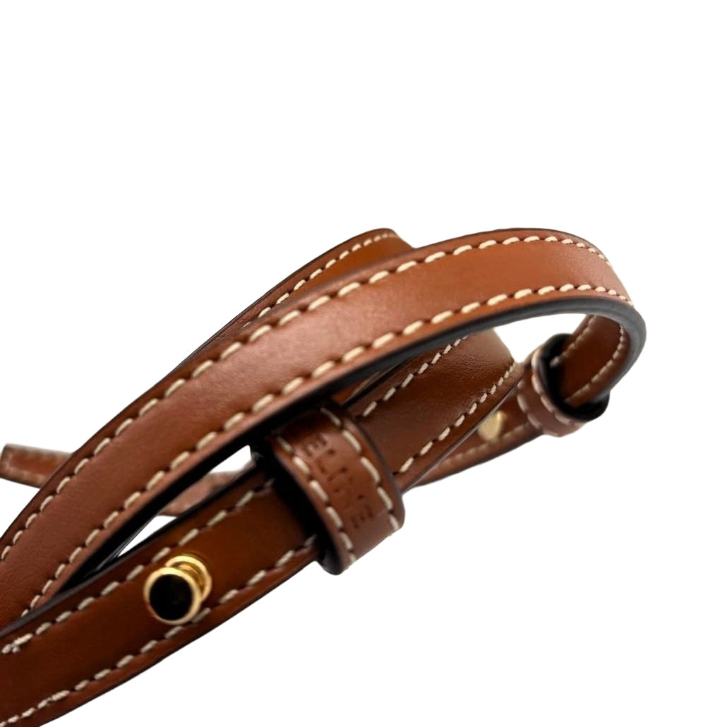 CELINE Mini Vertical Cabas In Triomphe Canvas With Celine Print