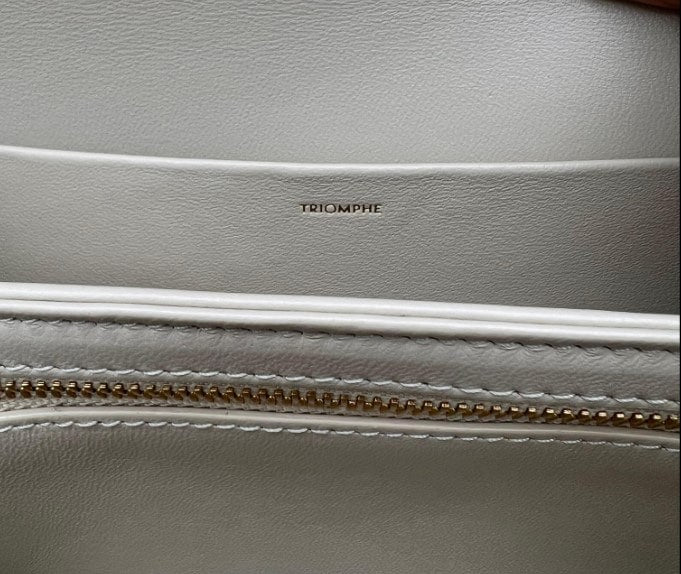 CELINE Classique Triomphe Bag in Shiny Calfskin