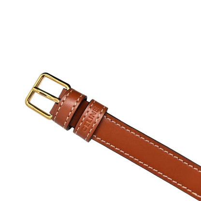 CELINE Medium Folco Bag In Triomphe Canvas & Calfskin