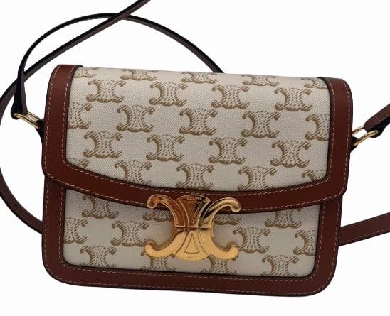 CELINE Teen Triomphe Bag in Triomphe Canvas and Calfskin