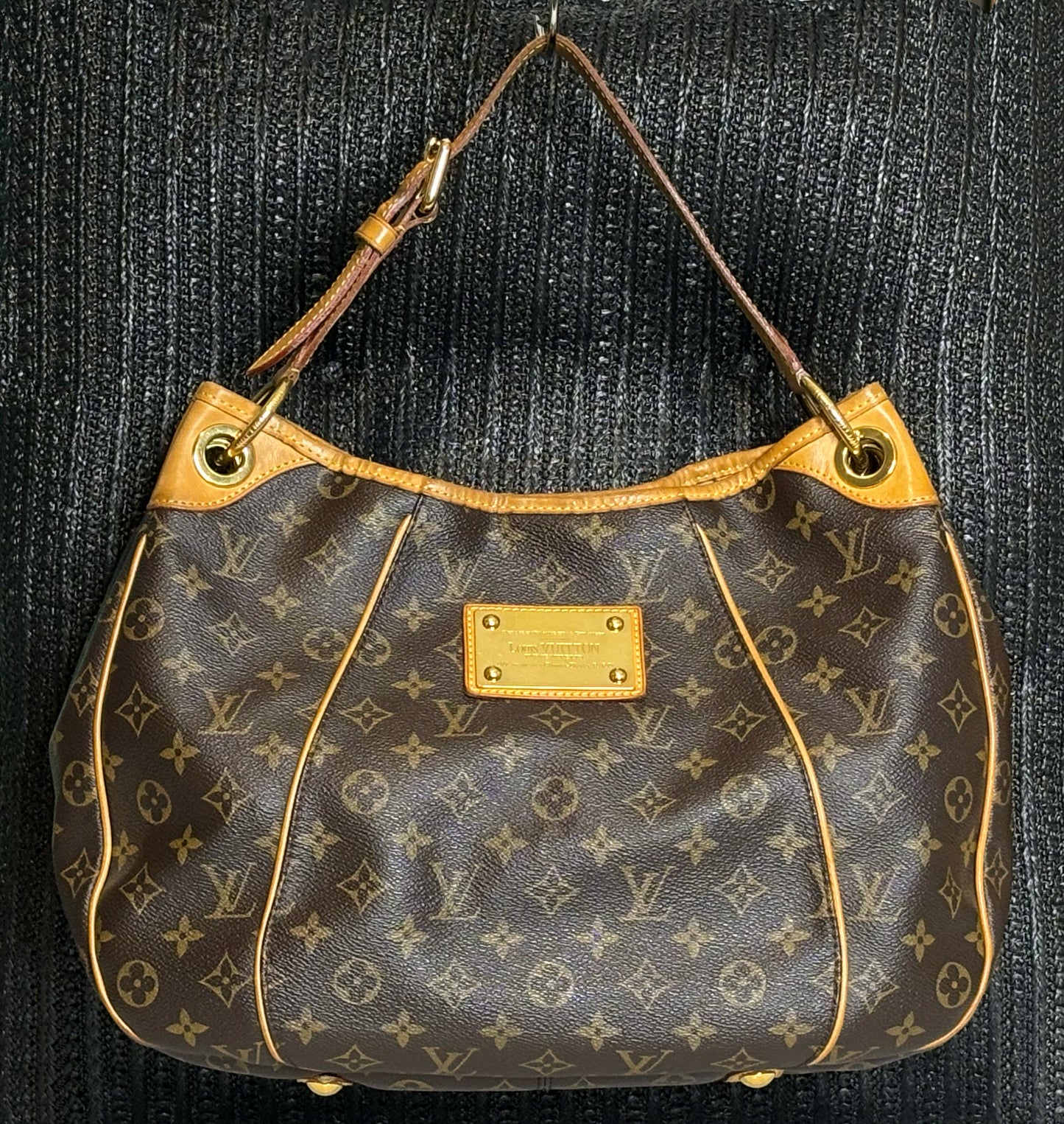 Louis Vuitton Galliera PM Image 0