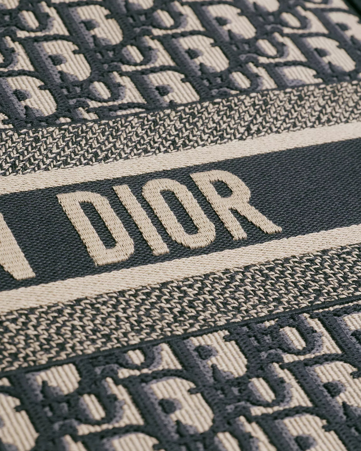 DIOR Large Book Tote Oblique Embroidery | Ecru/Blue